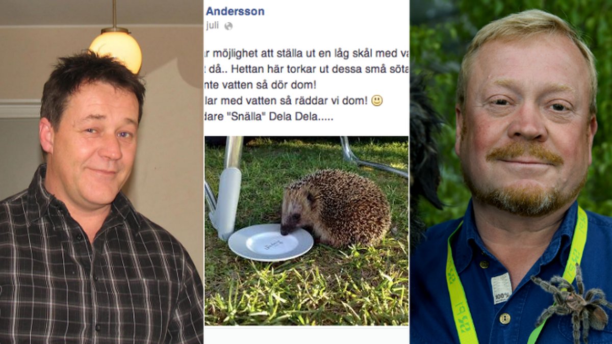 Börje Anderssons inlägg där han uppmanar att ge igolkottar vatten hyllas nu av Skansen-Jonas. 